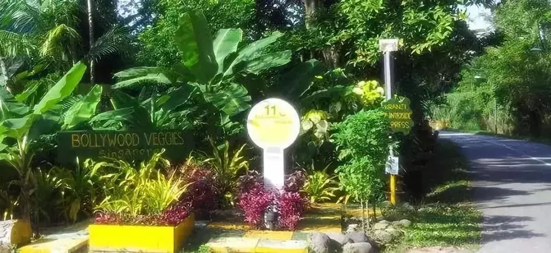 日本、新加坡、台湾、德国、以色列这样卖农产品