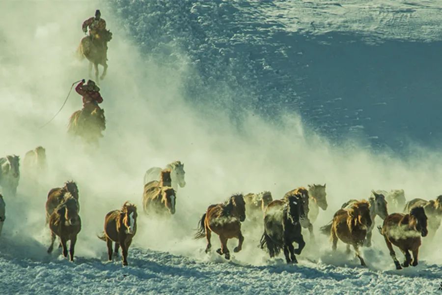 读狼图腾有感的标题,读《狼图腾》有感