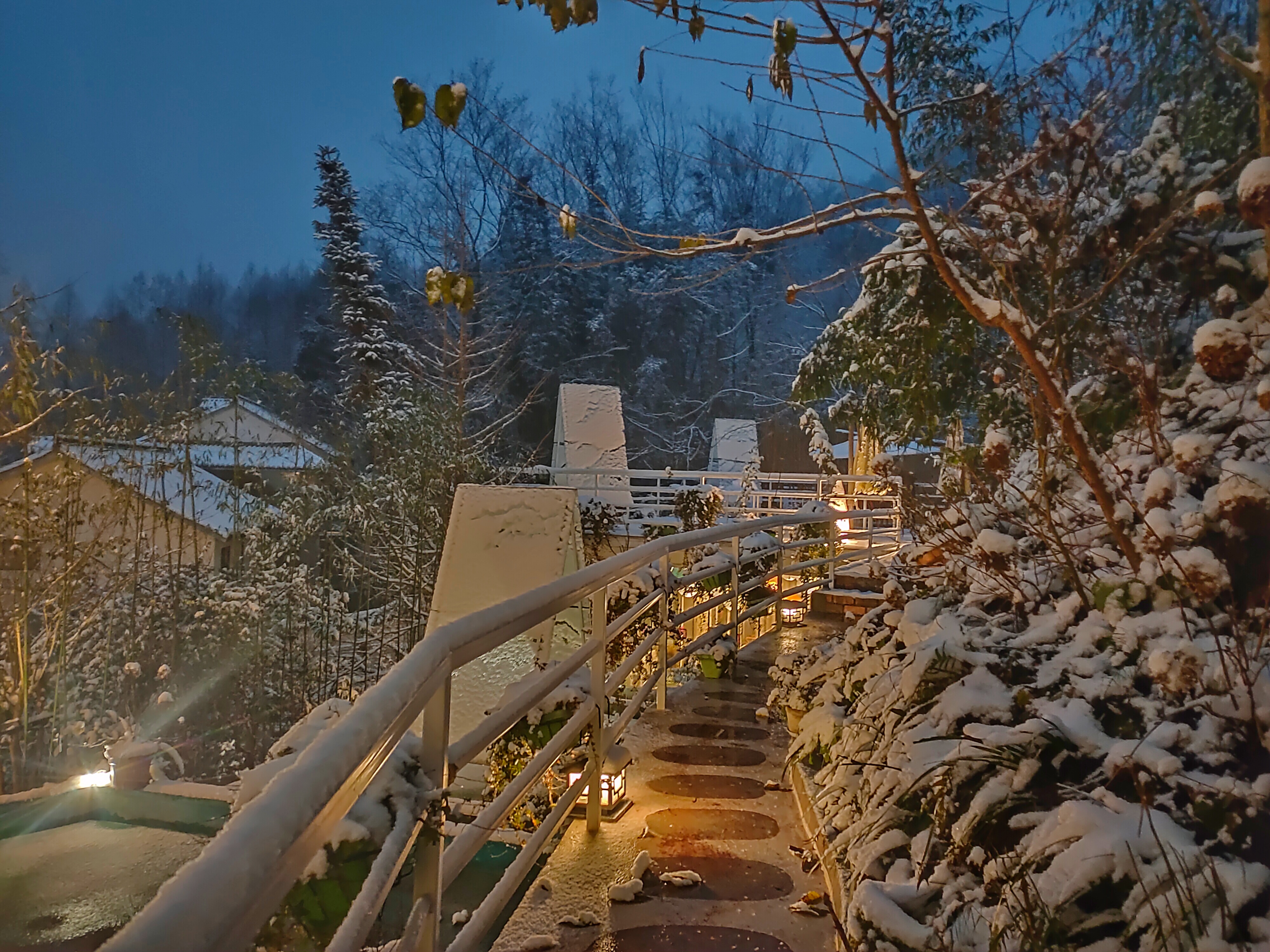 拜道青城山和问道青城山,青城山风景问道