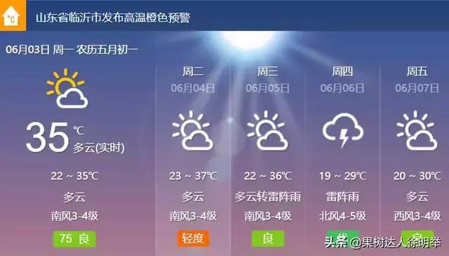 桃树蚜虫和红蜘蛛什么时间打药好,桃树什么时候打药防治火蜘蛛