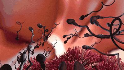 月经刚过一天能测出怀孕吗,月经刚来过怀孕几率大吗