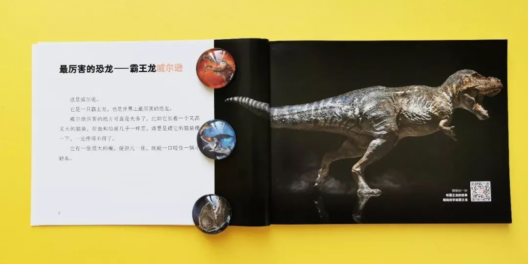 适合孩子看的恐龙科普书,适合5岁孩子看的恐龙科普书