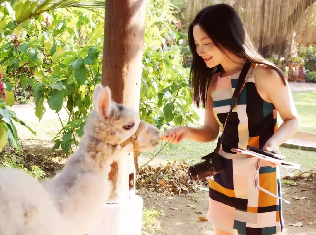 泰国清迈泼水节英文,泰国清迈泼水节自驾游