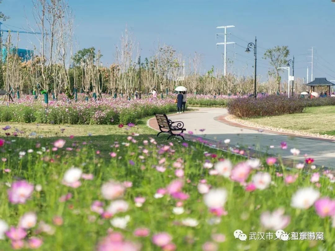 武汉江滩的那些事,武汉江滩的故事