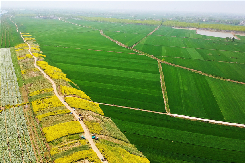 我和宿州有个约会，一场花事，一次慢旅行，探寻最烟火的宿州味道