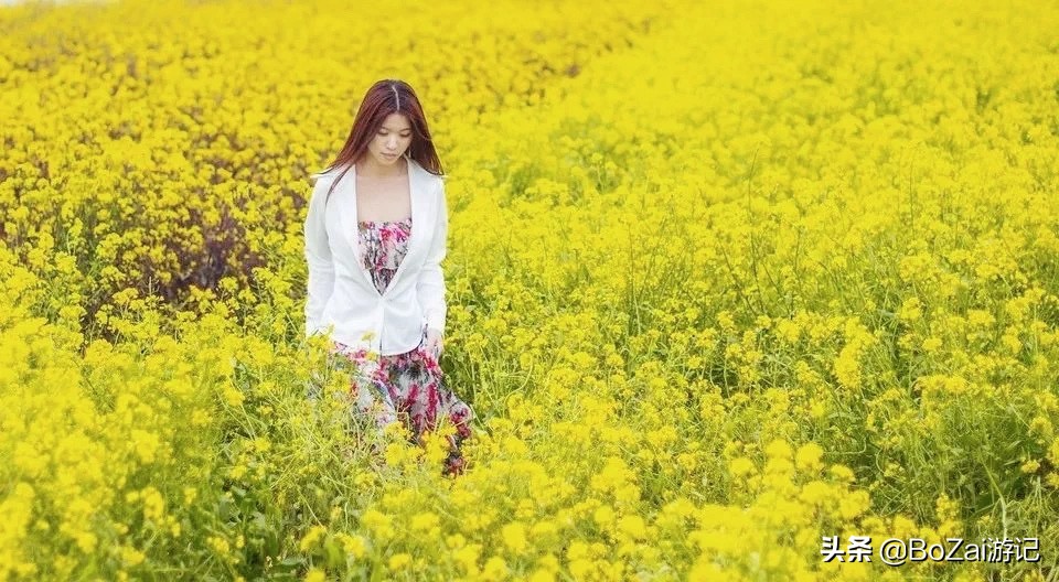 广西乡下田园最美风景图片,广西十大最美风景区