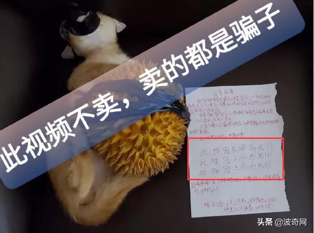 铏愮尗鍥紮浜嬩欢,铏愮尗鍥紮姝讳骸鍚庣画