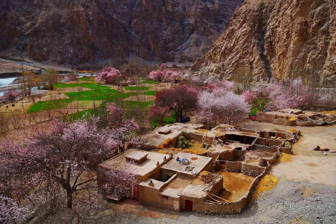 塔莎古道自驾最新消息,塔莎古道沿途景点