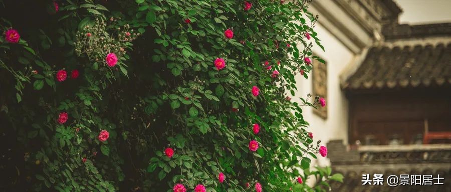 如何克服消极情绪小妙招,如何克服暴怒不良情绪