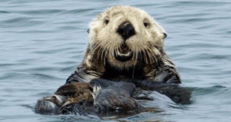 天天都要用的洗面奶你真的会选吗,一辈子用最好的洗面奶是什么