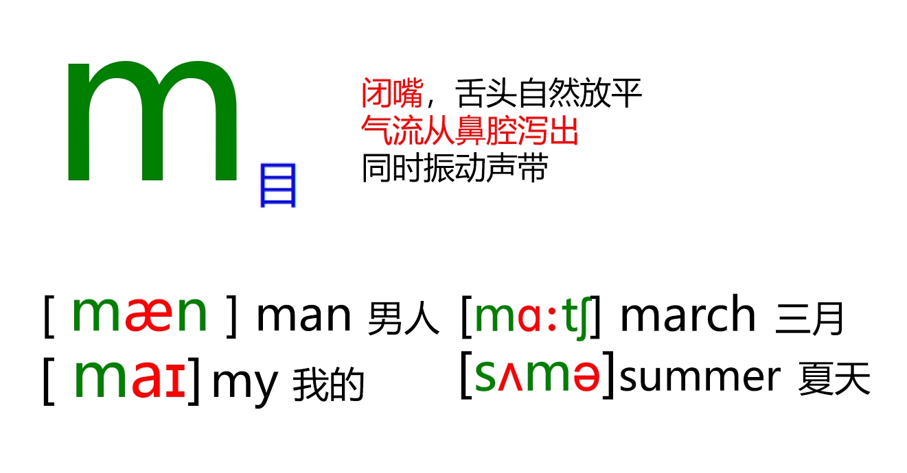 48张国际音标卡片大号,音标48个卡片