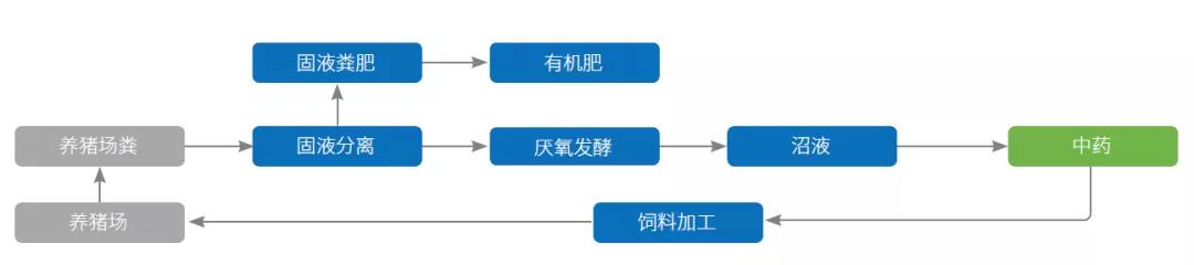 中医药助力乡村振兴,振兴中医药是国家战略