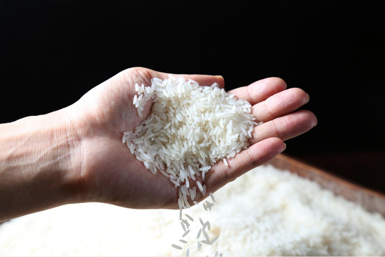 深度解读|泰国香米背后的秘密