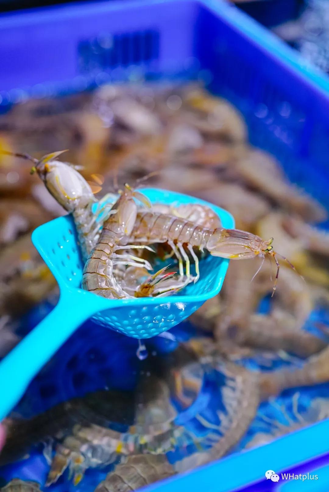 在超市寻宝任务,超市寻宝购物