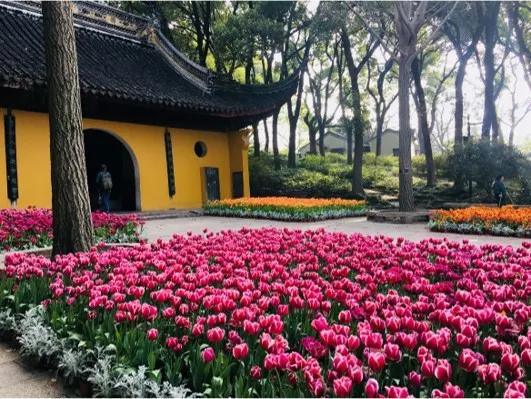 五一放假安排调整通知 (五一放假安排高速免费)