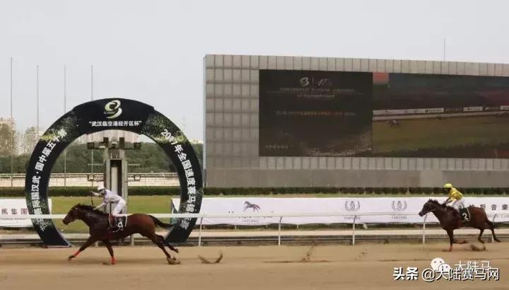 2019年全国速度赛马锦标赛11月2-3日武汉东方马城国际赛马场举行
