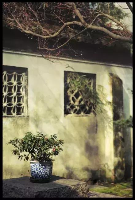 百家姓全文拼音最新版本,百家姓全部姓氏加拼音