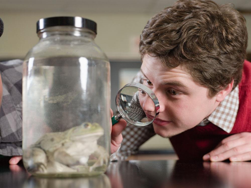 看顾佳扫码付款，我意识到大多数人穷，主要是微观体感出了问题