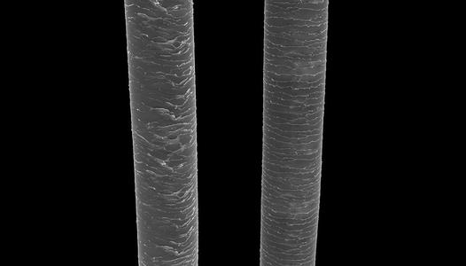 头发护理和免染烫修复护理,头发烫染怎么护理