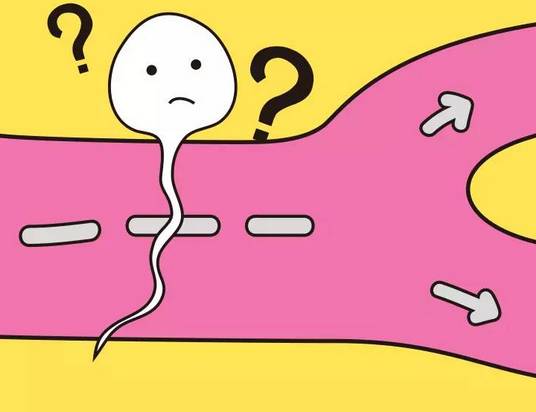 精子死亡的十大原因,如何辨别自己的精子是死的