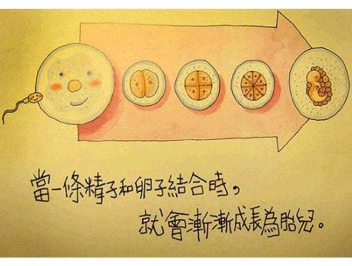 在孩子成长过程中性教育必不可少,性教育对孩子启蒙的重要性