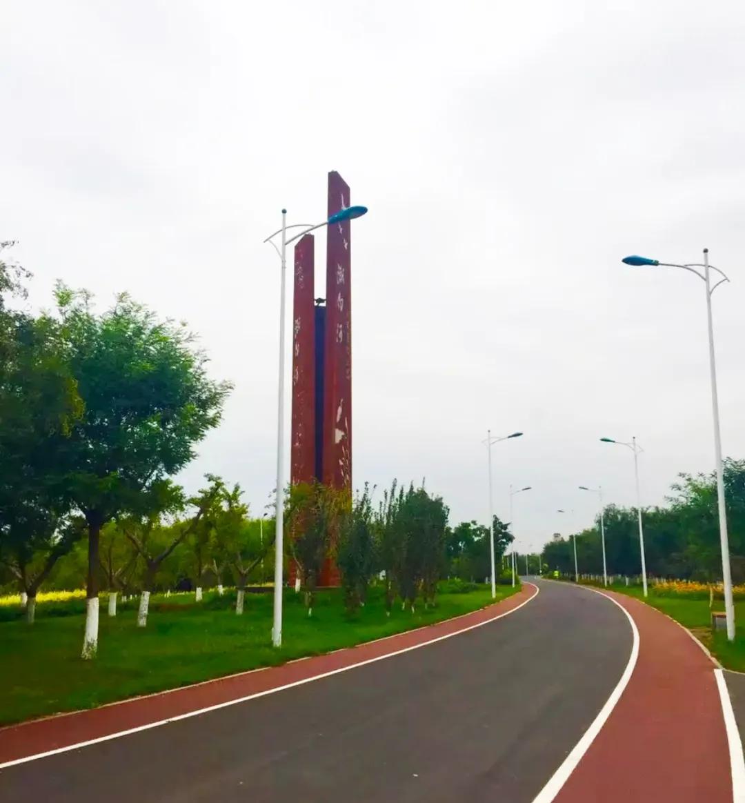 一个不出郑州的踏青好去处,天津春游公园推荐