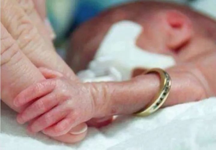 人造子宫给人类造成什么,人造子宫能造成人口危机吗