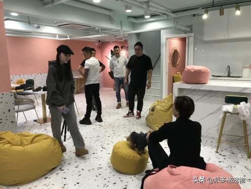 宠物店加盟派多格,派多格加盟靠谱吗