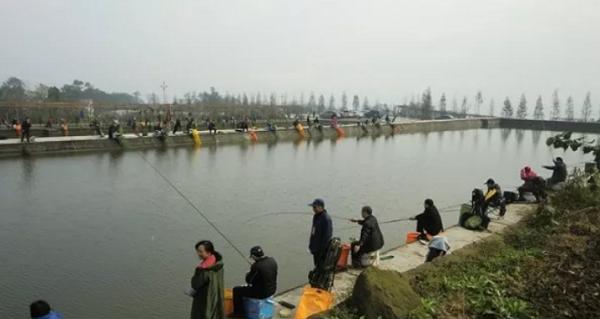 重庆主城好玩的农家乐,这才是重庆最好的农家乐