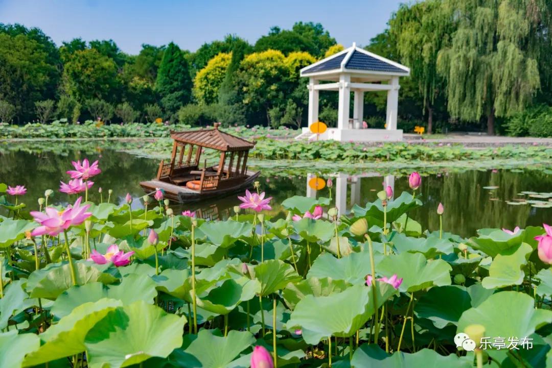 乐亭海滨旅游区地址,乐亭黄金海岸旅游区