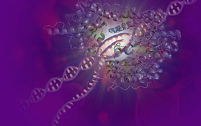 硅谷禁书的读书心得,硅谷禁书24堂励志课