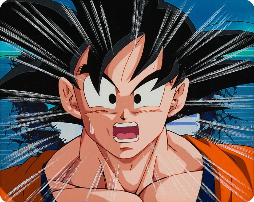 海贼王中的圣斗士,海贼王里面的皮卡丘