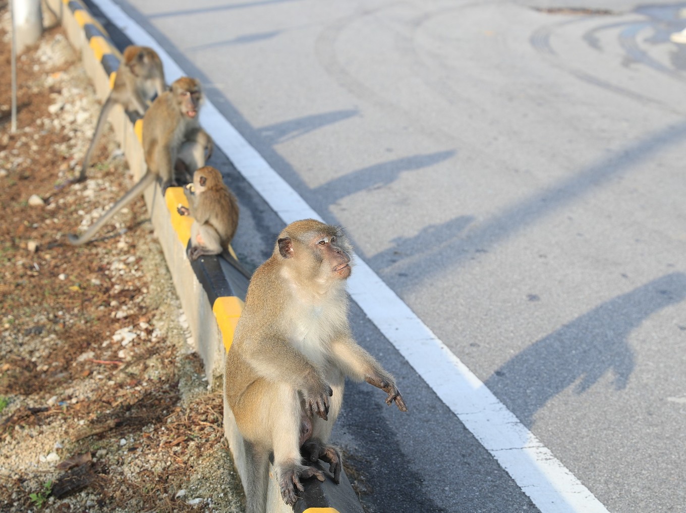 马来西亚西马旅游最佳线路图,马来西亚旅游怎么玩