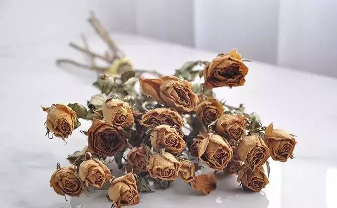 8种能做干花的鲜花,男朋友送的花就这么做