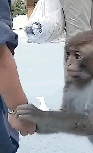 被铁链拴住的一生,被铁链绑住全身后逃脱