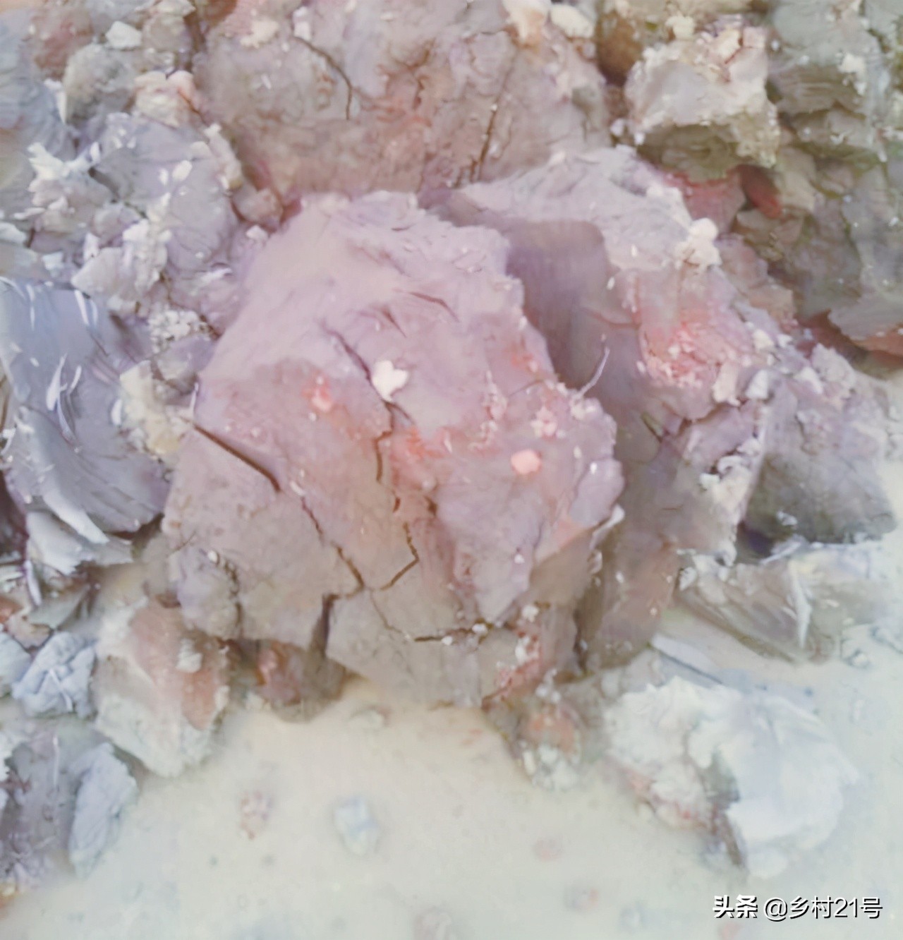 盆栽荷花养殖方法和注意事项,盆栽荷花怎么栽培