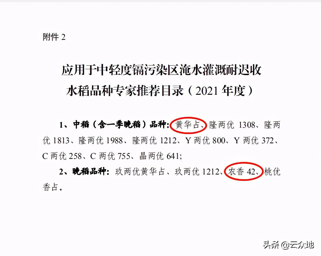 中国大米镉污染高清分布图最新,镉大米治理