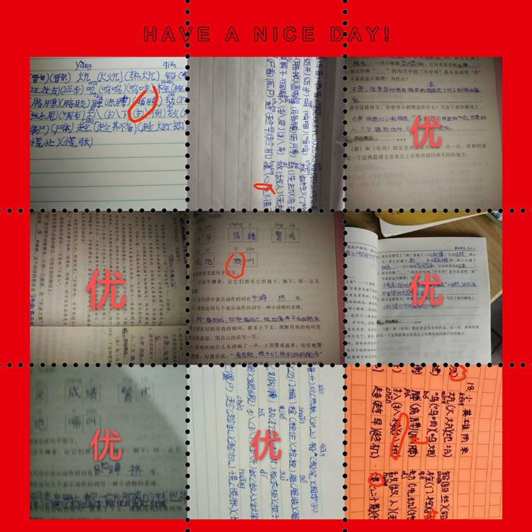 少年辛苦终身事，莫向光阴惰寸功。—峰山小学“宅而不慌”收获丰