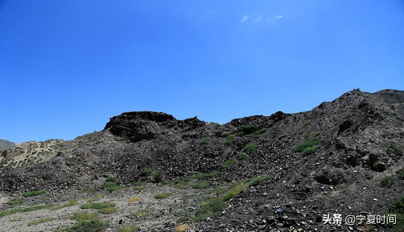 西夏窑址,西夏瓷窑址