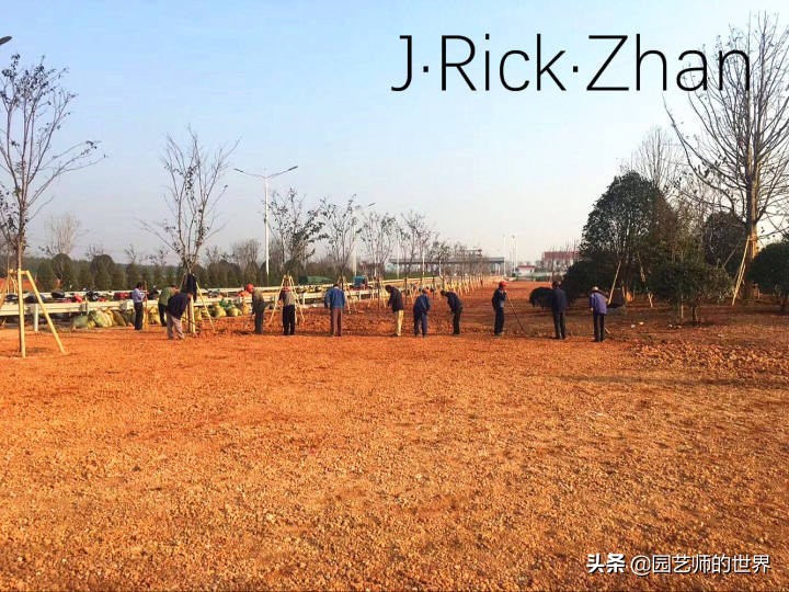 果岭草坪的种植养护方法及技巧,怎么种植一个可以躺的草坪