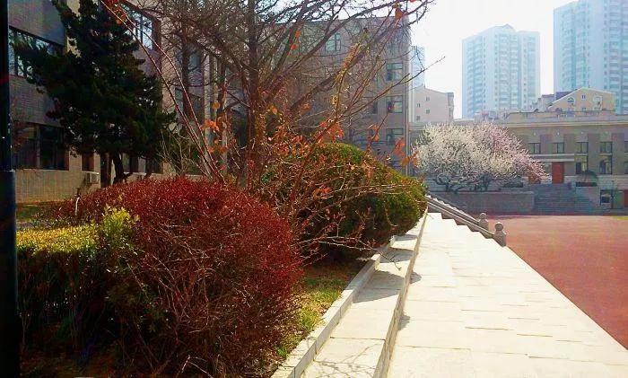 辽宁省大连市开发区第八高级中学,辽宁省所有的高级中学