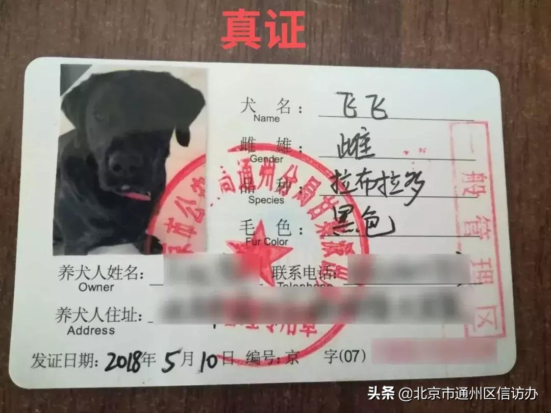 网上办犬证需要钱吗,办狗证中介北京