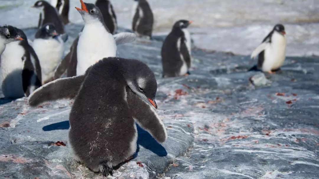 澳洲海外游学，我最推荐这座城市