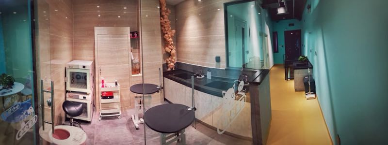 这家开了15年的老店，是如何将小心思带进新分店的？