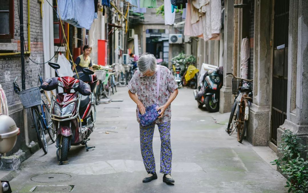 魔都网红马路视频,魔都值得散步的马路