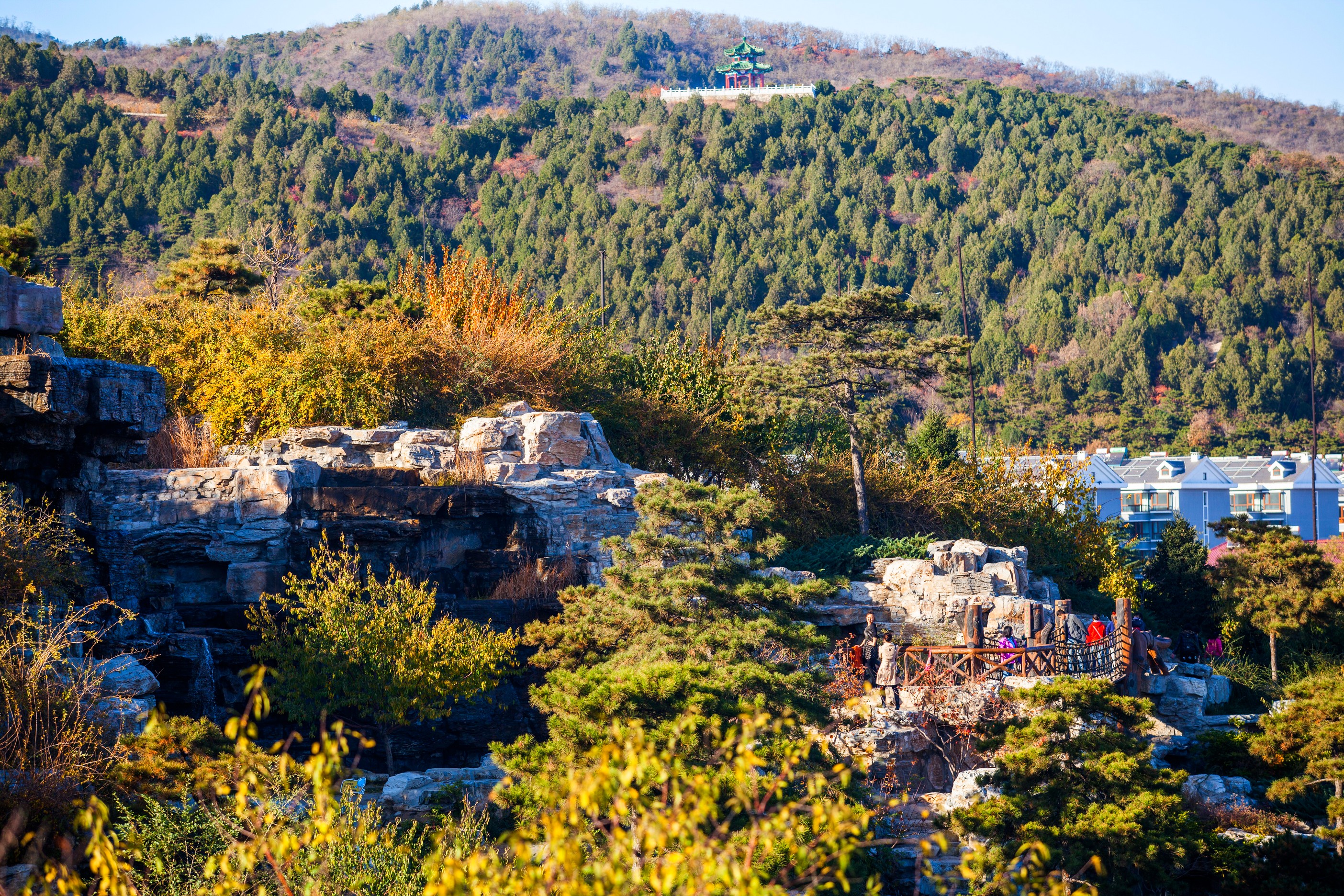 北京西山国家森林公园满满的禅意,深秋的北京西山国家森林公园
