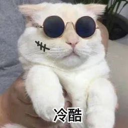 适合新手小白做的6个副业,小白也能月入过万的副业