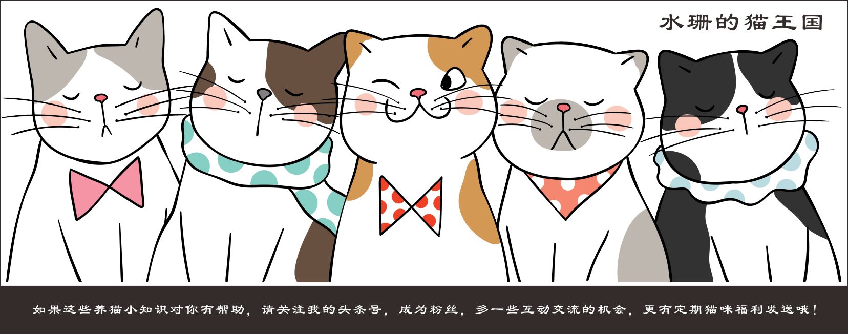 猫病简介,猫疾病百科全书