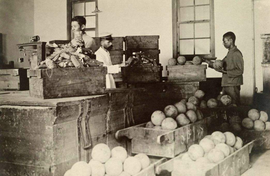 *片鸦**本是治病的良药，到底是如何变成*品毒**的？原来是使用方式变了