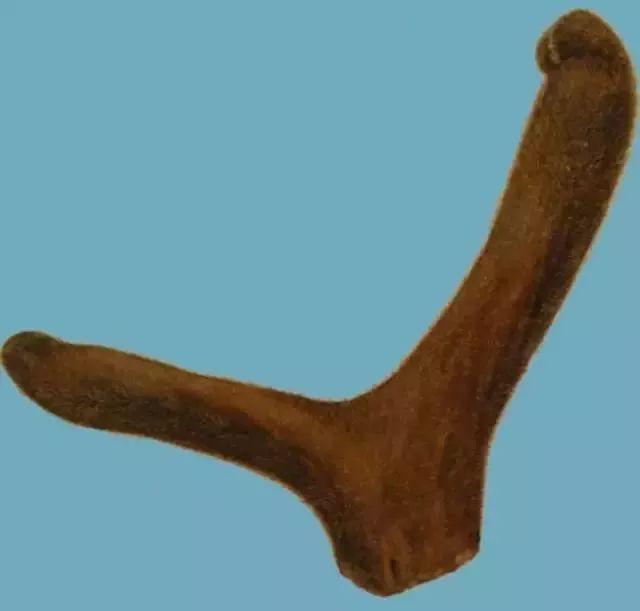 和鹿茸差不多样子的一味中药,鹿茸是一味什么用途的中药